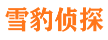 宁远找人公司